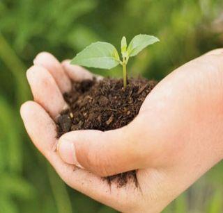 Subject matter of plantation in Gram Sabha! | ग्रामसभेत हवा वृक्षारोपणाचा विषय! Subject matter of plantation in Gram Sabha! | ग्रामसभेत हवा वृक्षारोपणाचा विषय!