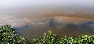 Oil tanker on Wainganga water | वैनगंगेच्या पाण्यावर तेलाचा तवंग Oil tanker on Wainganga water | वैनगंगेच्या पाण्यावर तेलाचा तवंग