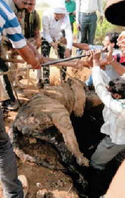 Finally, the body of Srinivasan was found | अखेर ‘श्रीनिवासन’चे शवच सापडले Finally, the body of Srinivasan was found | अखेर ‘श्रीनिवासन’चे शवच सापडले
