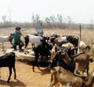 For water ... | पाण्यासाठी... For water ... | पाण्यासाठी...
