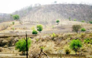 Kurakh runs on rare medicinal plants | दुर्मिळ औषधी वृक्षांवर चालतेय कुऱ्हाड Kurakh runs on rare medicinal plants | दुर्मिळ औषधी वृक्षांवर चालतेय कुऱ्हाड