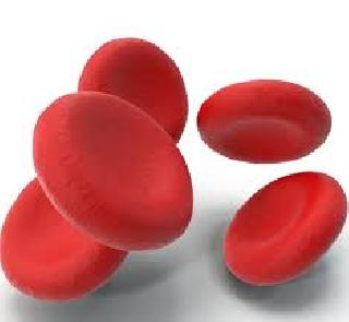 Software hacked to get infected! | सॉफ्टवेअरमध्ये अडकले रक्तविकारग्रस्तांचे प्रमाणपत्र! Software hacked to get infected! | सॉफ्टवेअरमध्ये अडकले रक्तविकारग्रस्तांचे प्रमाणपत्र!