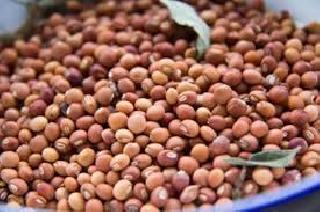 The farmers who sell most of the turquoise will be investigated! | सर्वाधिक तूर विकणाऱ्या शेतकऱ्यांची चौकशी होणार ! The farmers who sell most of the turquoise will be investigated! | सर्वाधिक तूर विकणाऱ्या शेतकऱ्यांची चौकशी होणार !