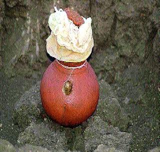 Good rainfall, general conditions of peak conditions | चांगला पाऊस, पीक परिस्थिती सर्वसाधारण