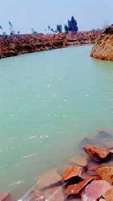 Waterfowl in Nalphadi Nallah | नलफडी नाल्यात जलसाठा Waterfowl in Nalphadi Nallah | नलफडी नाल्यात जलसाठा