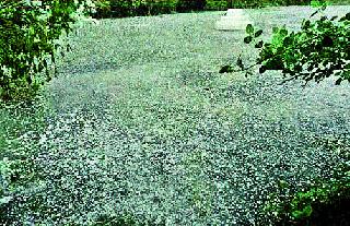The cost of hail fell in the field of Nampur | नामपूरला शेतात पडला गारांचा खच