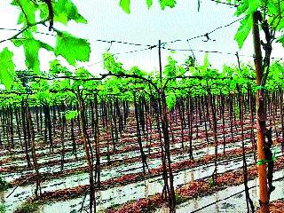 In the district, there is an underworld | जिल्ह्यात अवकाळीचा तडाखा