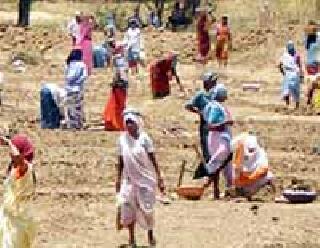 Action will be taken on the Employment Exchange | रोजगार सेवकावर होणार कारवाई