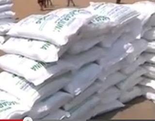 1 lakh 36 thousand metric tons of fertilizer requirement in the district! | जिल्ह्याला १ लाख ३६ हजार मेट्रिक टन खताची गरज! 1 lakh 36 thousand metric tons of fertilizer requirement in the district! | जिल्ह्याला १ लाख ३६ हजार मेट्रिक टन खताची गरज!