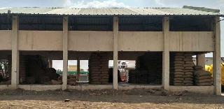 Khamgaon to return to Tur! | जागेअभावी खामगाववरून तूर परत! Khamgaon to return to Tur! | जागेअभावी खामगाववरून तूर परत!