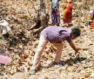 Day-to-day villages are encouraged by the workers of labor | पाणीदार गावांकरिता दररोज वाढतात श्रमदान करणाऱ्यांचे हात Day-to-day villages are encouraged by the workers of labor | पाणीदार गावांकरिता दररोज वाढतात श्रमदान करणाऱ्यांचे हात