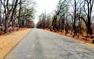 End road: | निमर्नुष्य रस्ता :