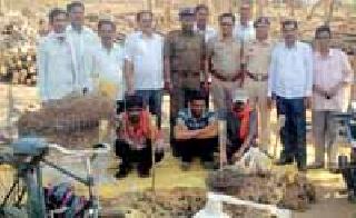 Three other arrested in Chitral hunting case | चितळ शिकार प्रकरणात आणखी तिघांना अटक Three other arrested in Chitral hunting case | चितळ शिकार प्रकरणात आणखी तिघांना अटक