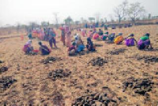 Hands handy for a watery village | पाणीदार गावासाठी सरसावले हात Hands handy for a watery village | पाणीदार गावासाठी सरसावले हात