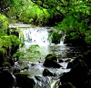 Manechee Gundi - The song of Dhanesh ... | मनाचिये गुंथी - धनेशाचे गाणे... Manechee Gundi - The song of Dhanesh ... | मनाचिये गुंथी - धनेशाचे गाणे...