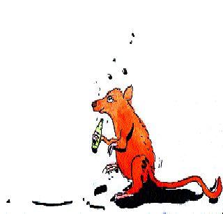 Commentary - Bihar's alcoholic mice! | भाष्य - बिहारचे मद्यपी उंदीर ! Commentary - Bihar's alcoholic mice! | भाष्य - बिहारचे मद्यपी उंदीर !