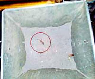 Do not let devotional worship! | भक्तीधागा उसवू नये ! Do not let devotional worship! | भक्तीधागा उसवू नये !