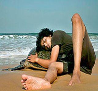 For the occasion "Kasav" | निमित्त "कासव"