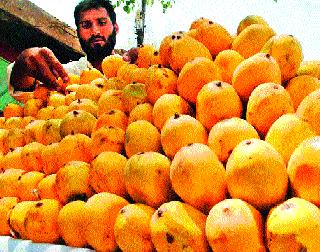 Ambanis coming from Gujarat | गुजरातमधून आंब्यांची आवक Ambanis coming from Gujarat | गुजरातमधून आंब्यांची आवक