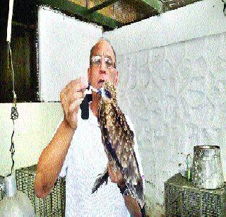 Sweeping birds | ऊन्हाचा फटका पक्ष्यांना Sweeping birds | ऊन्हाचा फटका पक्ष्यांना