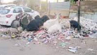 Dirty Gondiya 343rd number | गलिच्छ गोंदियाचा ३४३ वा क्रमांक Dirty Gondiya 343rd number | गलिच्छ गोंदियाचा ३४३ वा क्रमांक