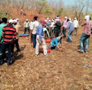 Shramdaan: | श्रमदान : Shramdaan: | श्रमदान :