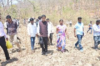 Charolii village work inspirational! | चारमोळी गावकर्यांचे काम प्रेरणादायी! Charolii village work inspirational! | चारमोळी गावकर्यांचे काम प्रेरणादायी!