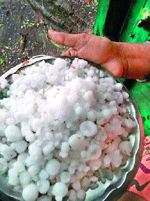 Eleven thousand farmers were injured in the incident | अकरा हजार शेतकऱ्यांना अवकाळीचा फटका