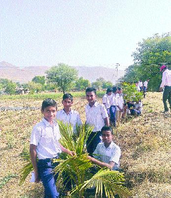 Forty plants survived with the power of passion and love | जिद्द व आवडीच्या जोरावर जगवली चाळीस झाडे Forty plants survived with the power of passion and love | जिद्द व आवडीच्या जोरावर जगवली चाळीस झाडे