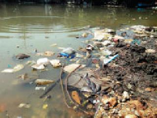 A victim of fish in police station | पोलीस ठाण्यासाठी माशांचा बळी