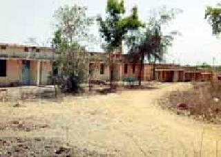 The complaint of 'Moyal' by Sarpanchs | सरपंचांनी केली ‘मॉयल’ची तक्रार