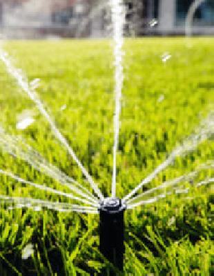 Under the irrigation sector 17% of the district | जिल्ह्यातील १७ टक्केच शेती क्षेत्र सिंचनाखाली