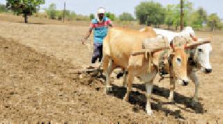 Summertime: | उन्हाळवाही : Summertime: | उन्हाळवाही :