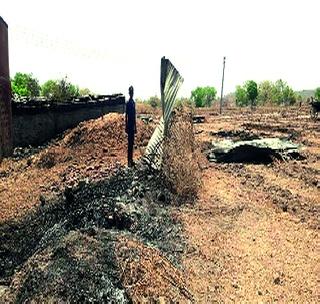 Three cows burnt alive in Kinkhed! | किनखेड येथे आगीत तीन गोठे जळाले! Three cows burnt alive in Kinkhed! | किनखेड येथे आगीत तीन गोठे जळाले!