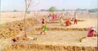 2,667 laborers on 56 works in Naghid taluka | नागभीड तालुक्यात रोहयोच्या ५६ कामांवर २ हजार ६६७ मजूर 2,667 laborers on 56 works in Naghid taluka | नागभीड तालुक्यात रोहयोच्या ५६ कामांवर २ हजार ६६७ मजूर
