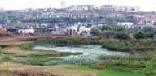 Stop the work of the pond | तलावातील काम थांबवा Stop the work of the pond | तलावातील काम थांबवा