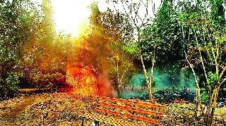 Fire of grass in the nandagavi garden | नांदगावी बागेतील गवतास आग