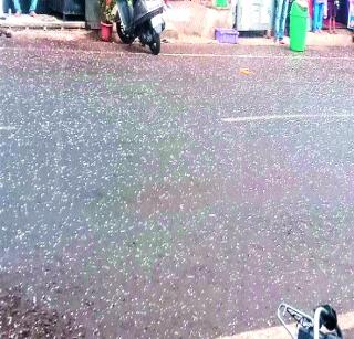 Hail in the South | दक्षिण भागात गारांचा गारवा