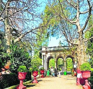 MNS aggressor from Ranibagh problems | राणीबागेतील समस्यांवरून मनसे आक्रमक MNS aggressor from Ranibagh problems | राणीबागेतील समस्यांवरून मनसे आक्रमक