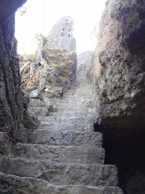 There is a trekking wave throughout the summer, then choose one of these dishes! | भर उन्हाळ्यात ट्रेकिंगची लहर आलीय, मग या पाचातून एकाची निवड करा! There is a trekking wave throughout the summer, then choose one of these dishes! | भर उन्हाळ्यात ट्रेकिंगची लहर आलीय, मग या पाचातून एकाची निवड करा!