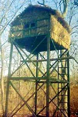 Achievements from today | आजपासून प्राणीगणना