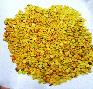 Start of buying tur from Central Agriculture Scheme | केंद्रीय कृषी योजनेतून तूर खरेदी सुरू Start of buying tur from Central Agriculture Scheme | केंद्रीय कृषी योजनेतून तूर खरेदी सुरू