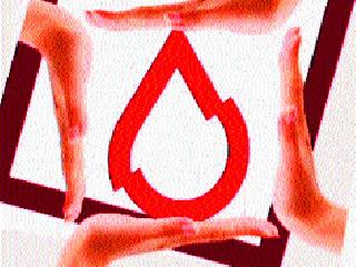 Thalassemia's Grateful Children | थॅलेसेमियाग्रस्त मुलांचा गौरव