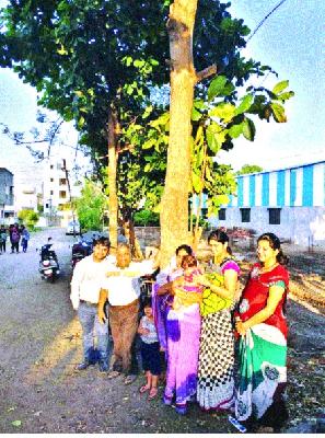Planting of the tree on the birthday of a 'Sattaka' | पुतण्याच्या जन्मादिवशी झाडे लावून जीवनाचेही ‘सार्थक’ Planting of the tree on the birthday of a 'Sattaka' | पुतण्याच्या जन्मादिवशी झाडे लावून जीवनाचेही ‘सार्थक’