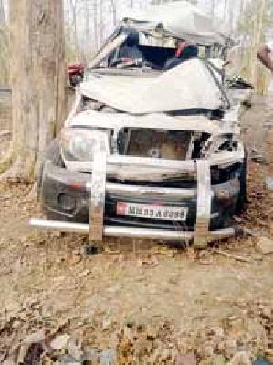 Bolero blasted the tree, four injured and two serious | बोलेरो झाडाला धडकली, चार जखमी, दोन गंभीर