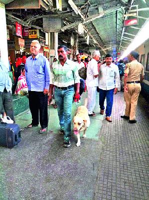 Inspector of the bomb detection squad at the railway station | रेल्वेस्थानकात बॉम्बशोधक पथकाची तपासणी Inspector of the bomb detection squad at the railway station | रेल्वेस्थानकात बॉम्बशोधक पथकाची तपासणी