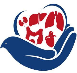 Three thousand organ transplants during the year | राज्यात वर्षभरात तीन हजार अवयव प्रत्यारोपण Three thousand organ transplants during the year | राज्यात वर्षभरात तीन हजार अवयव प्रत्यारोपण