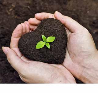 Organic method of income is negligible. | सेंद्रिय पद्धतीच्या शेतमाल उत्पन्नाचे प्रमाण नगण्य! Organic method of income is negligible. | सेंद्रिय पद्धतीच्या शेतमाल उत्पन्नाचे प्रमाण नगण्य!