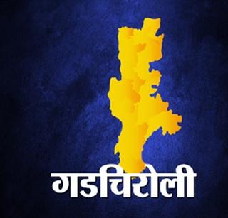 Gadchiroli will come on an industrial map | गडचिरोलीही येणार औद्योगिक नकाशावर Gadchiroli will come on an industrial map | गडचिरोलीही येणार औद्योगिक नकाशावर