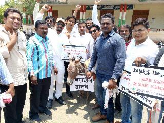 Name of the donation given to the donkey | गाढवाला दिले दानवेंचे नाव